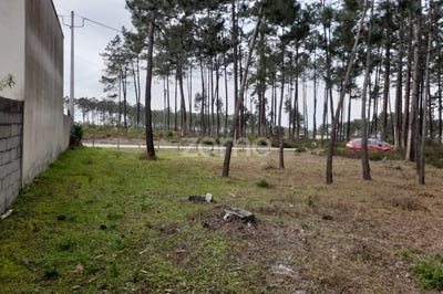 /international/pt/alcobaca-leiria-120074766495/