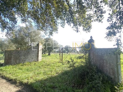 /international/pt/unnamed-road-santarem-santarem-310108861871/