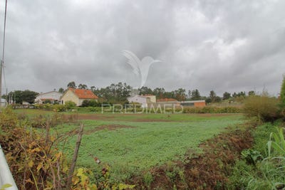 /international/pt/oia-oliveira-do-bairro-aveiro-310104145421/