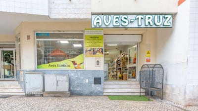 /international/pt/estrada-da-algazarra-laranjeiro-e-feijo-setubal-municipality-310096782210/