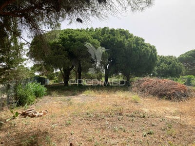 /international/pt/almancil-loule-faro-310108591324/