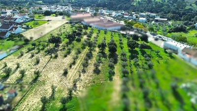 /international/pt/melides-setubal-municipality-310104402729/