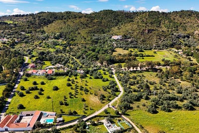 /international/pt/setubal-sao-juliao-setubal-municipality-310098535226/
