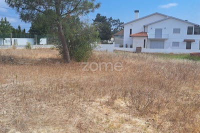 /international/pt/cantanhede-coimbra-310101922703/