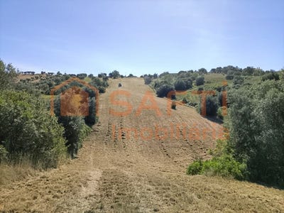 /international/pt/mocarria-santarem-310100484536/