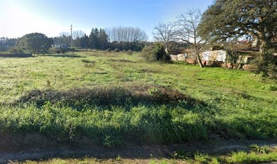 /international/pt/rua-do-serrado-sangalhos-aveiro-310098439731/