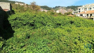 /international/pt/santa-cruz-setubal-municipality-120098078985/