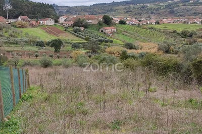 /international/pt/porto-de-mos-leiria-120079966567/?lang=zh-tw