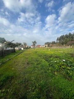 /international/pt/canelas-aveiro-310097464026/