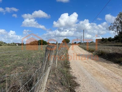 /international/pt/montijo-e-afonsoeiro-setubal-municipality-310099419831/
