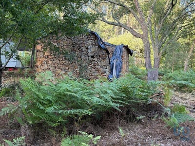 /international/pt/pedrogao-grande-leiria-310101376234/?lang=zh-tw
