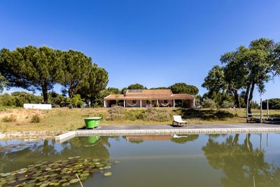 /international/pt/gralheira-corticadas-de-lavre-portugal-corticadas-de-lavre-evora-310101876299/