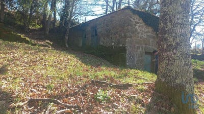 /international/pt/porto-braga-120091100871/