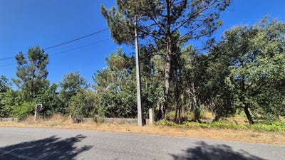 /international/pt/r-do-castanhal-vermoil-portugal-vermoil-leiria-310101325480/