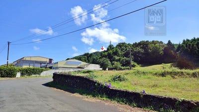/international/pt/pico-da-pedra-azores-310103443114/