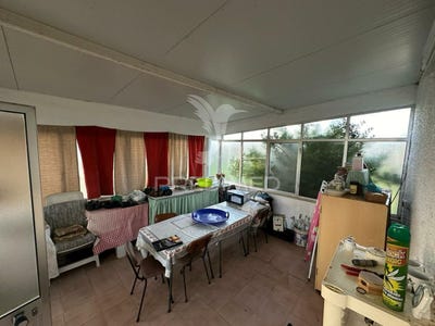/international/pt/romeira-e-varzea-santarem-santarem-120090339988/