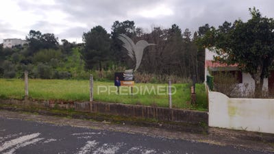 /international/pt/chamusca-e-pinheiro-grande-chamusca-aveiro-310105911157/