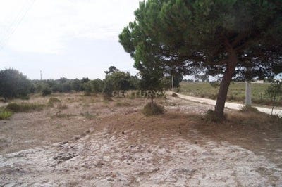 /international/pt/aldeia-de-brescos-santiago-do-cacem-portugal-santo-andre-setubal-municipality-310102953683/