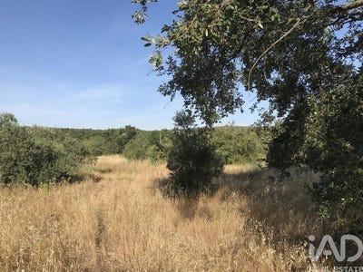 /international/pt/santarem-santarem-310108776472/
