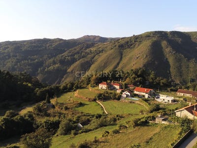 /international/pt/assento-carvalheira-braga-310105187932/