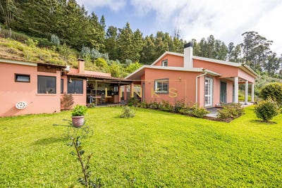 /international/pt/canhas-madeira-310100740463/
