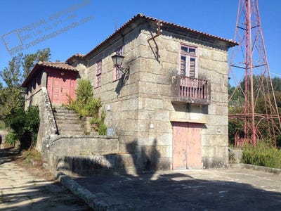 /international/pt/palmeira-de-faro-braga-310105739093/