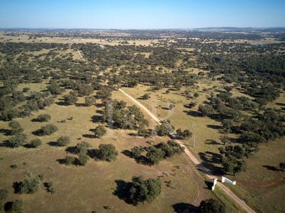 /international/pt/urra-castelo-branco-310106106366/