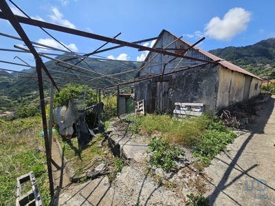/international/pt/ilha-da-madeira-madeira-310100235929/