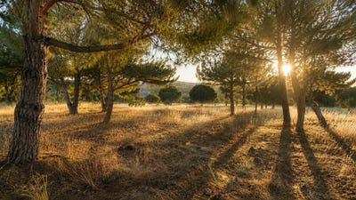 /international/pt/carvoeiro-lga-algarve-310108562838/