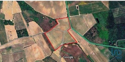 /international/pt/bombarral-leiria-120096355479/