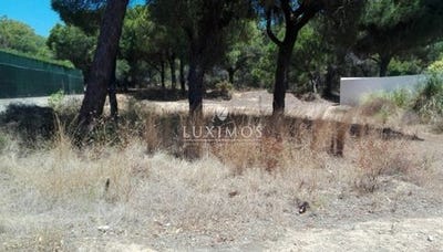 /international/pt/almancil-faro-120086454647/