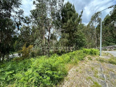 /international/pt/ruivaes-vila-nova-de-famalicao-braga-120084625894/
