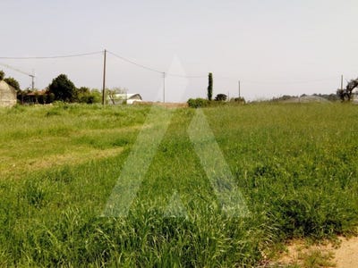 /international/pt/palhaca-leiria-310100274786/