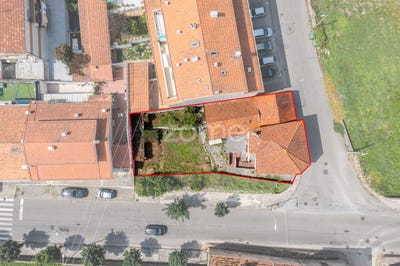 /international/pt/espinho-castelo-branco-310100954343/