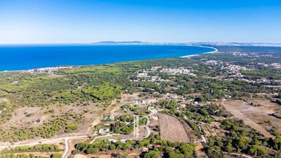 /international/pt/sesimbra-setubal-municipality-310100827090/