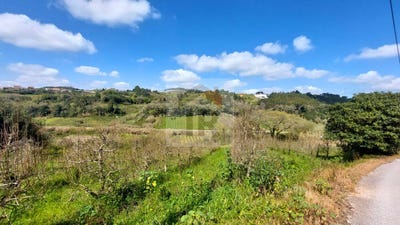 /international/pt/caldas-da-rainha-leiria-310099113648/