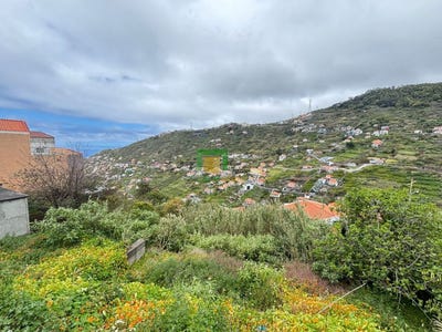 /international/pt/ribeira-brava-madeira-310107431553/