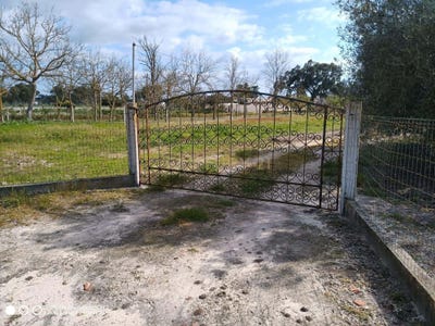 /international/pt/rua-da-falagueira-marinhais-portugal-marinhais-santarem-310103451945/