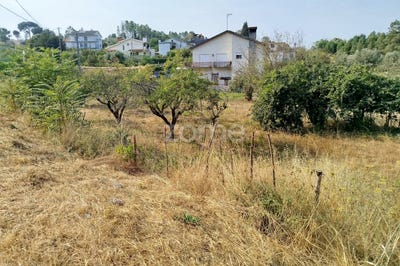 /international/pt/mangualde-viseu-310101879521/