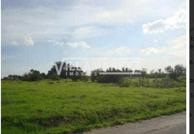 /international/pt/montijo-e-afonsoeiro-setubal-municipality-310108321999/