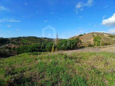 /international/pt/santo-isidoro-lisbon-310103641830/
