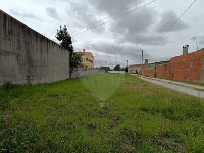 /international/pt/coimbra-lisbon-310104001917/