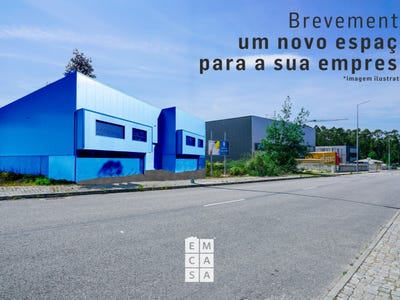 /international/pt/santa-maria-da-feira-aveiro-310105405862/