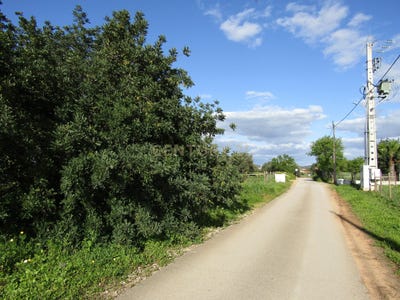 /international/pt/taipas-algoz-portugal-algoz-faro-310105184291/