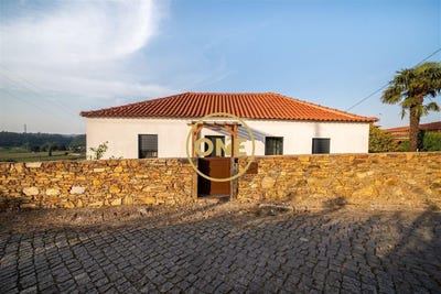 /international/pt/balazar-braga-310108558841/
