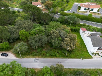 /international/pt/minde-santarem-310107089147/