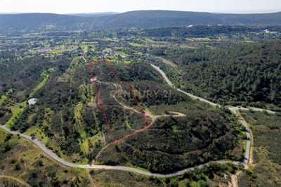 /international/pt/8100-151-portugal-salir-leiria-310106396874/