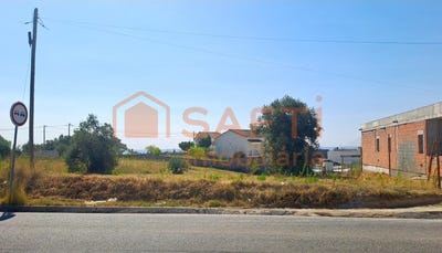 /international/pt/brogueira-santarem-310102108080/