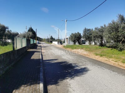 /international/pt/vila-nova-da-barquinha-vila-nova-da-barquinha-santarem-310100952441/