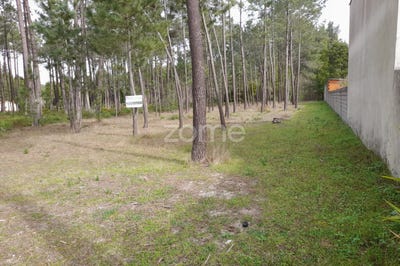 /international/pt/alcobaca-leiria-120074766495/